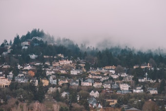 A hilly neighborhood populated with a diverse array of houses surrounded by tall evergreen trees. A layer of fog gently covers the tops of the trees, and the atmosphere feels serene and slightly mysterious.