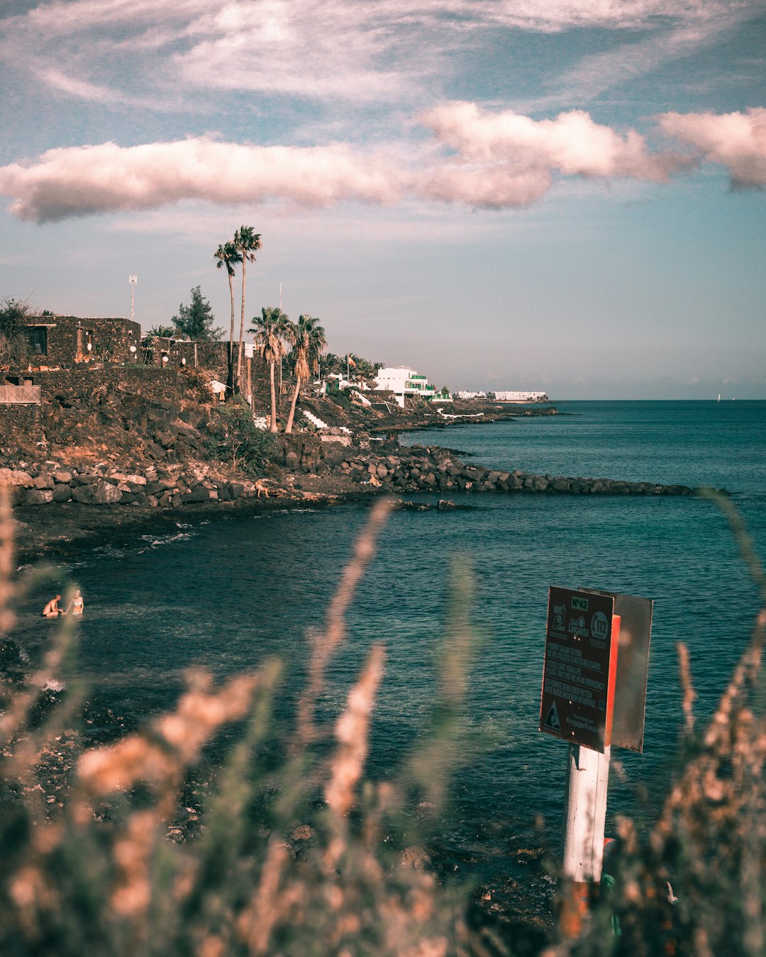 selective focus photography of beach during daytime