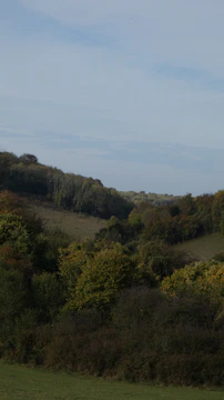 A gently sloping plot with mature trees and a distant view of rolling hills.