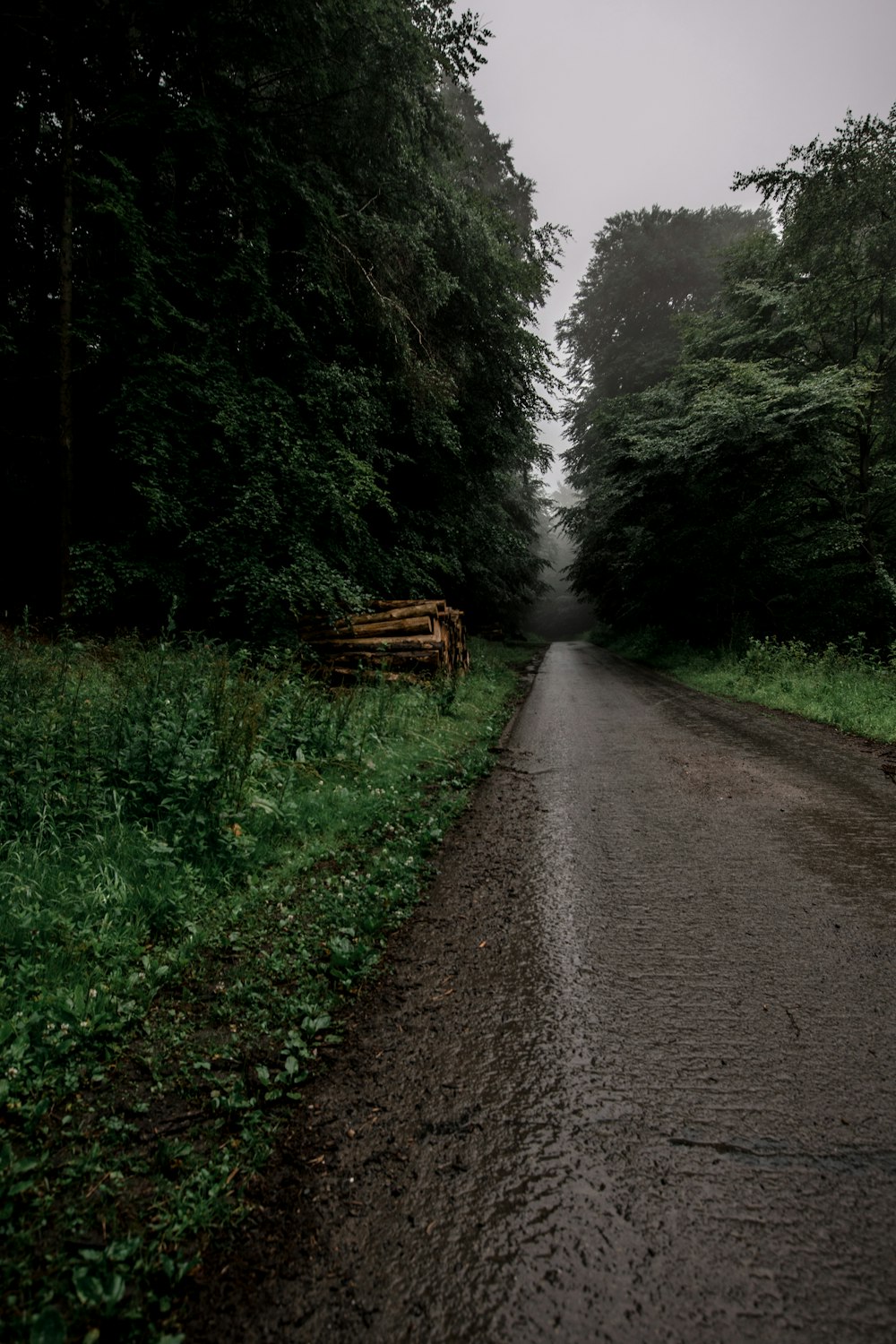 brown road beside green trees