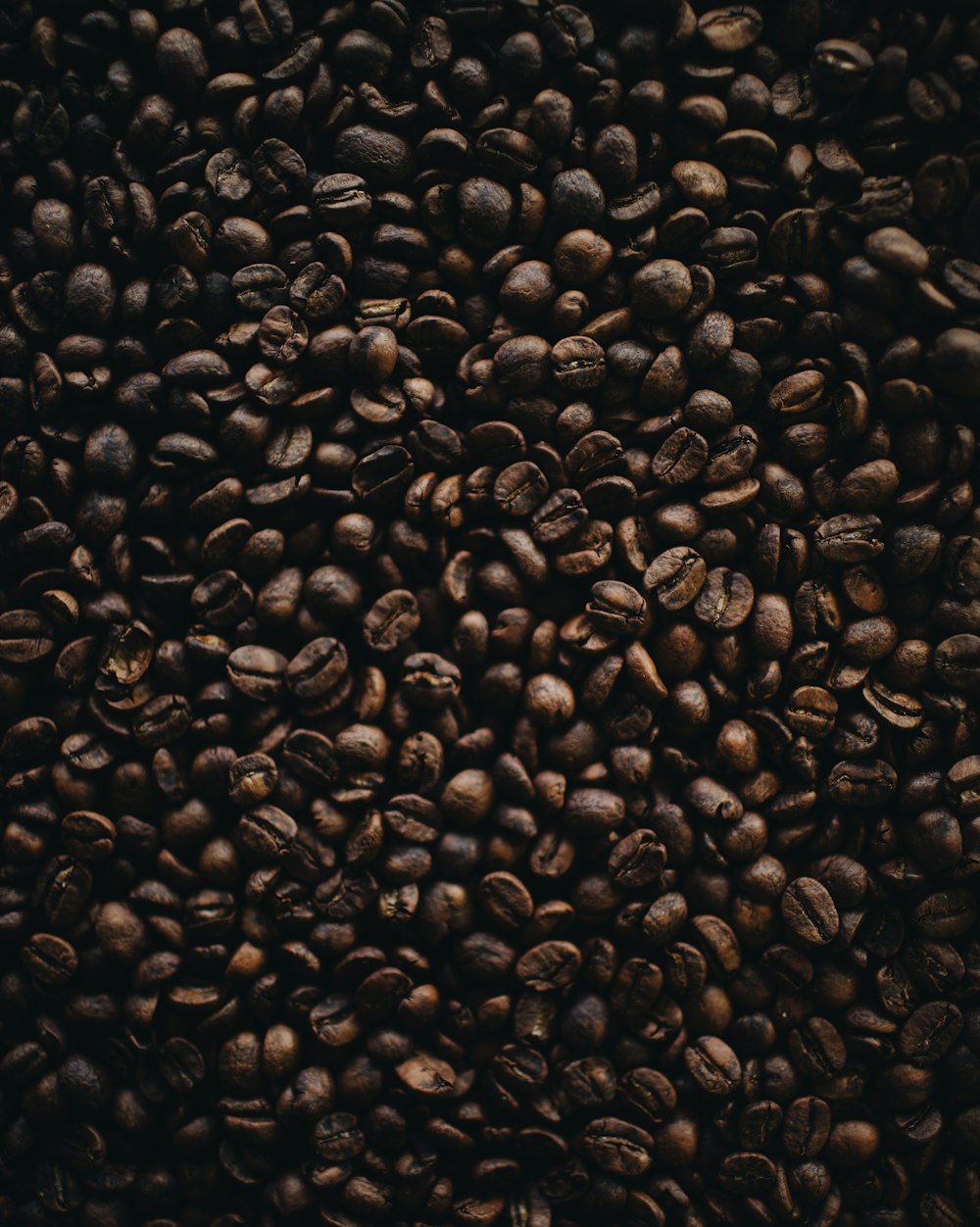 brown coffee seeds