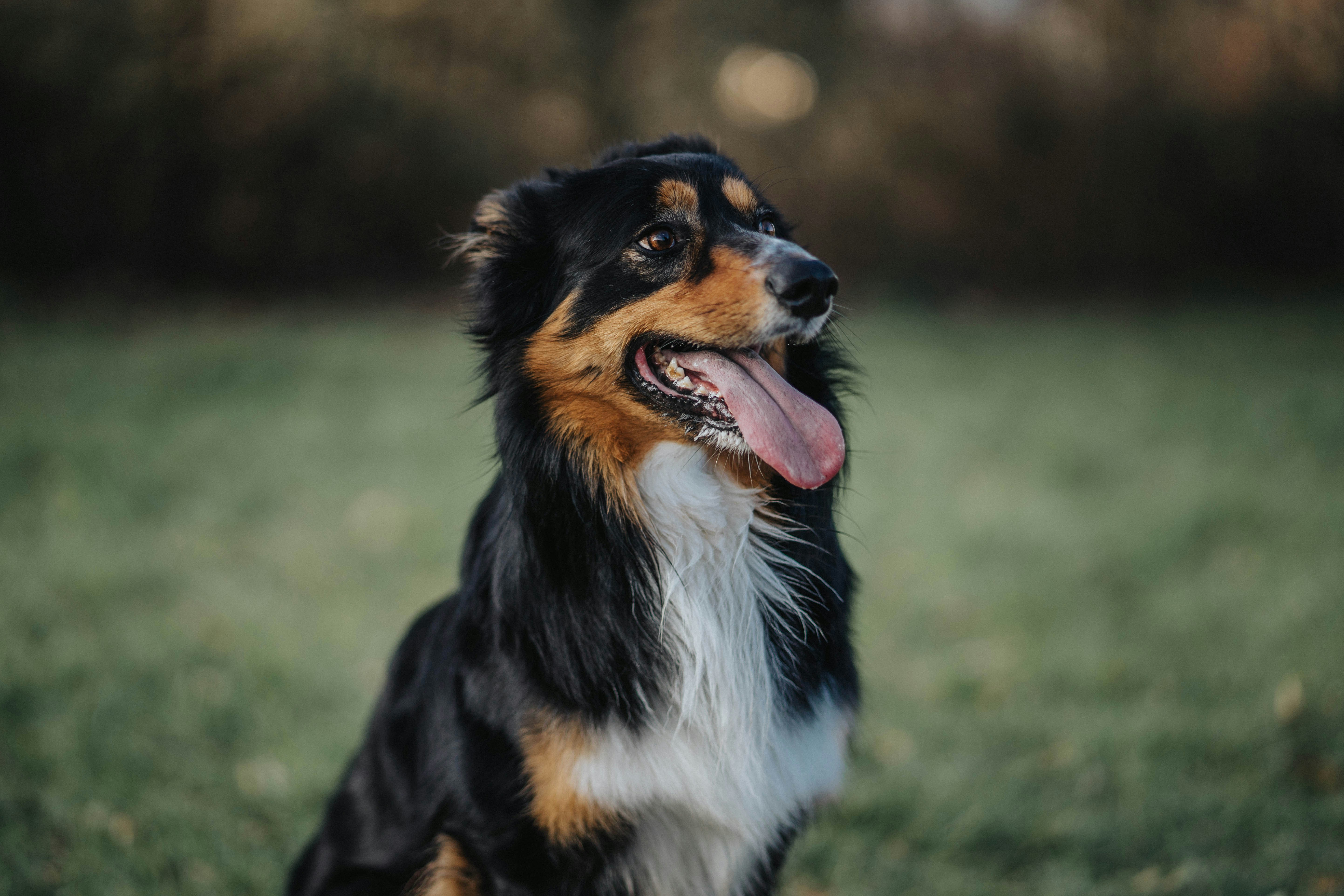 Photo by alexrichardsonphotos