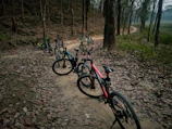 Bicycles parked near a dirt trail, ready for a countryside ride through open fields.