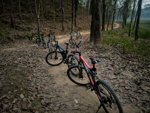 Bicycles parked near a dirt trail, ready for a countryside ride through open fields.