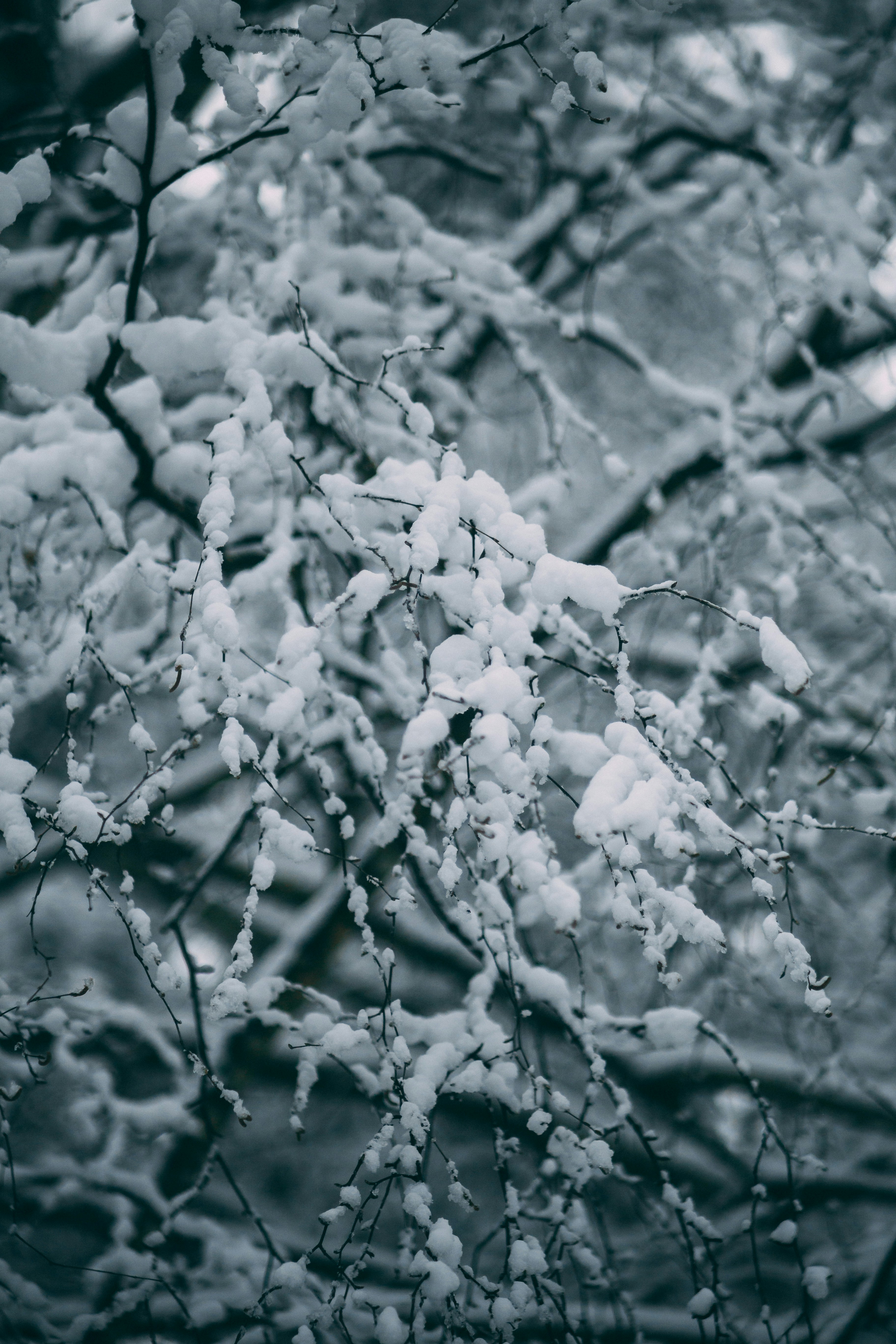 Photo by lukas_martynas