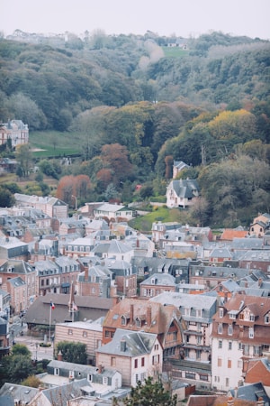 A quaint European town with a mix of brick and stone buildings featuring sloped roofs, surrounded by lush green hills and dense forest. The town's architecture is traditional and dense, contributing to an old-world charm. Flags can be seen flying, hinting at a communal or cultural gathering.