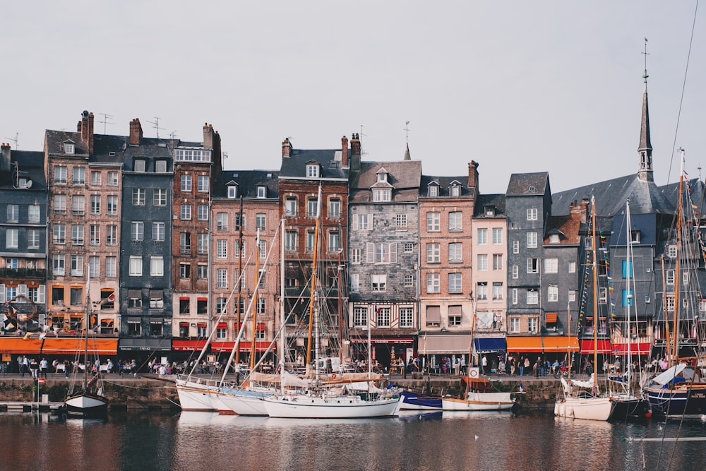 boats on dock near concrete buildings during daytime