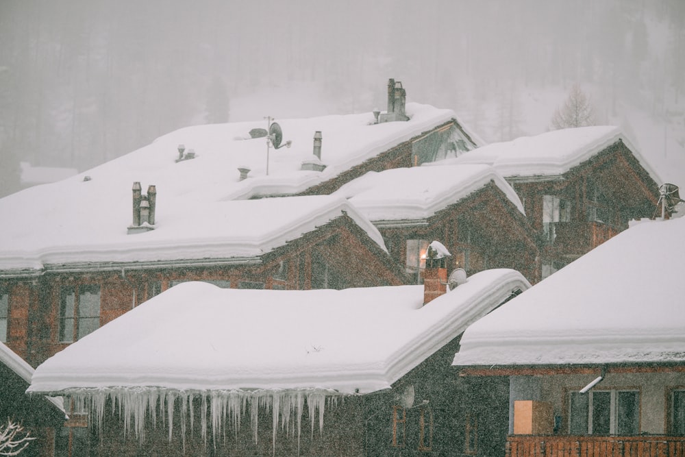 snow covered houses during daytime
