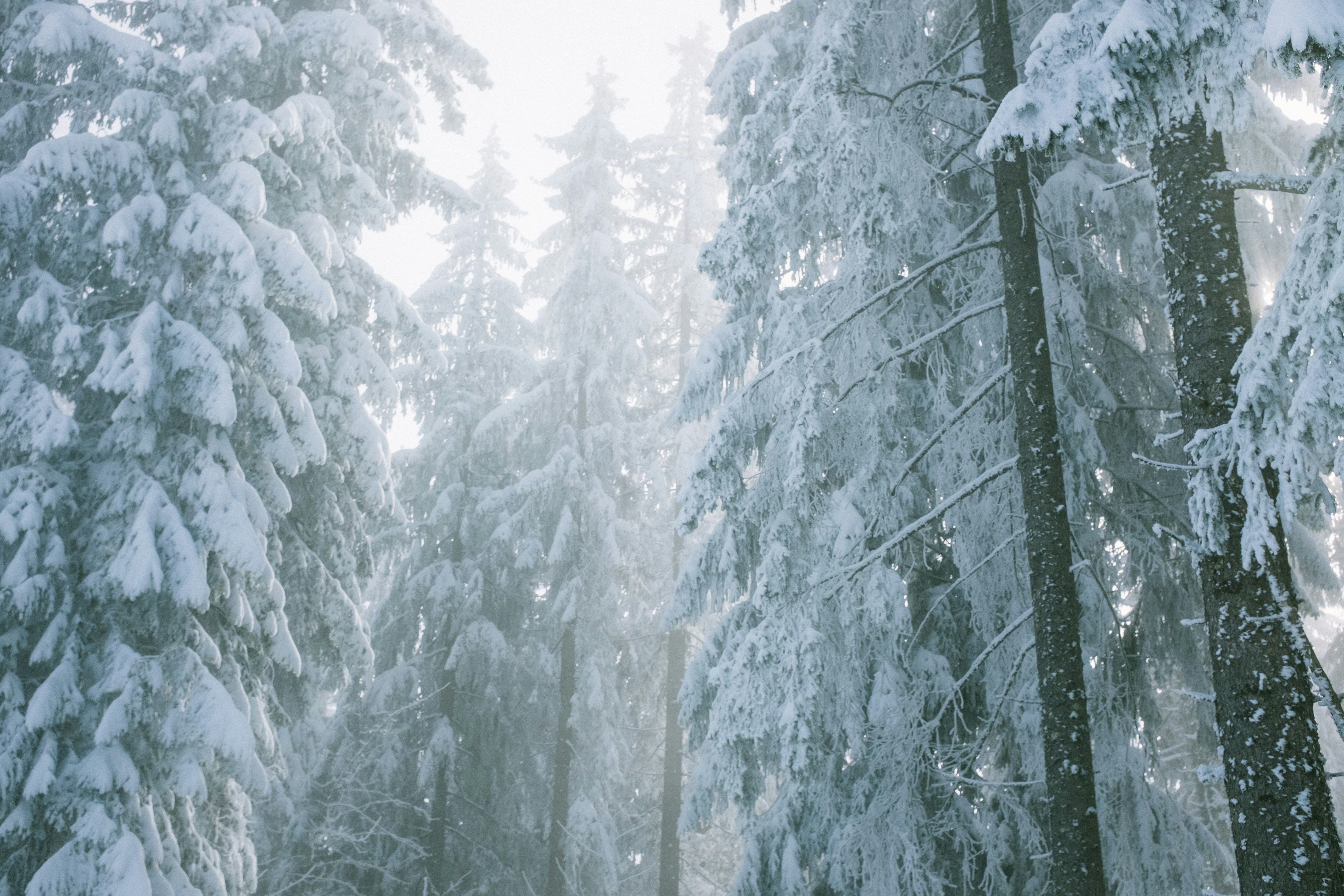 Photo by orlovamaria