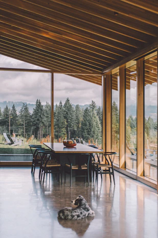 The dining area set for a meal with natural wood tables and views of the forest.