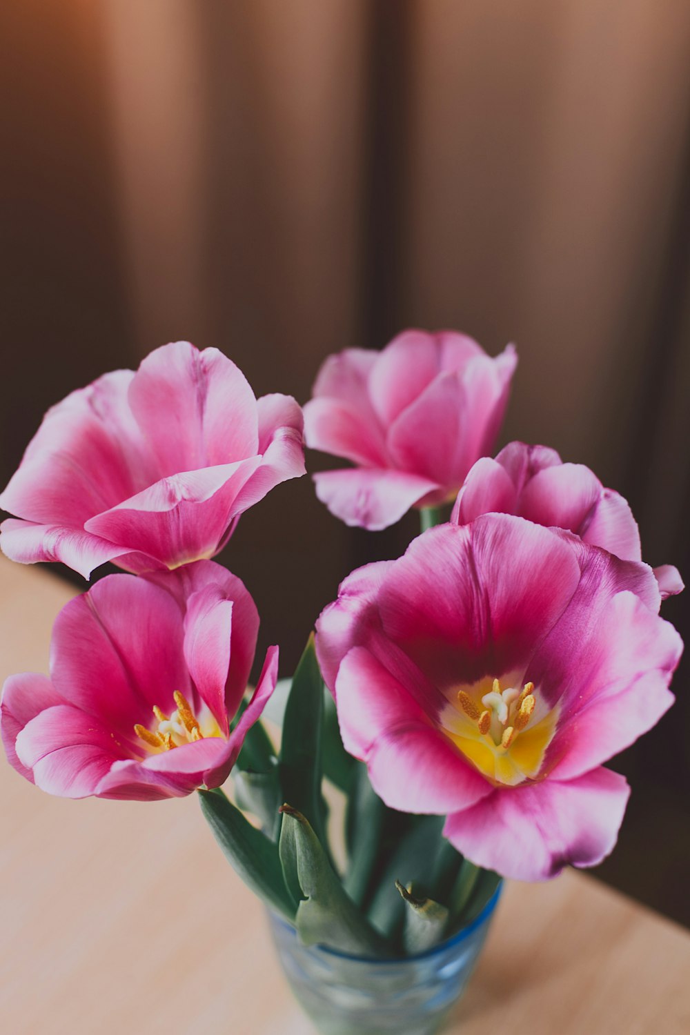 red and pink petal flowers on clear drinking glass