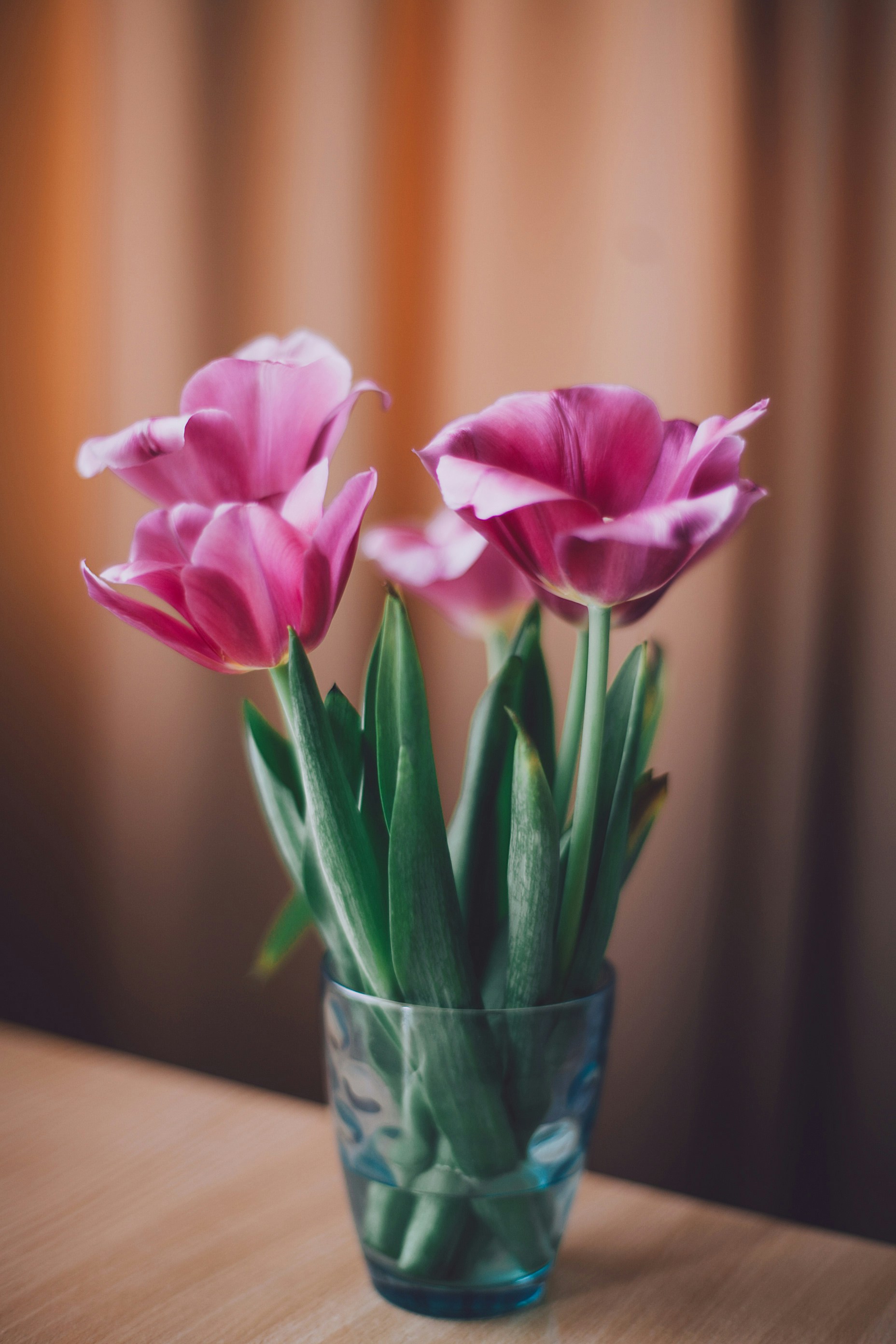 pink petaled flowers in vase at table
