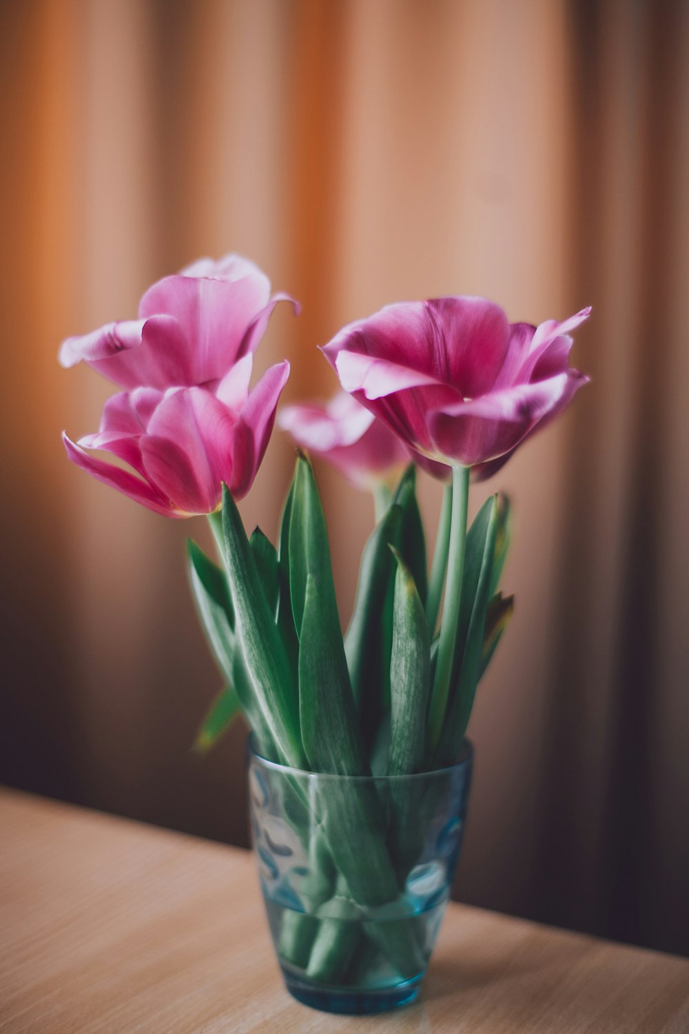 pink petaled flowers in vase at table