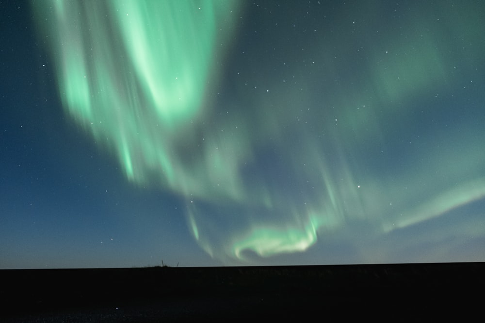 Northern borealis