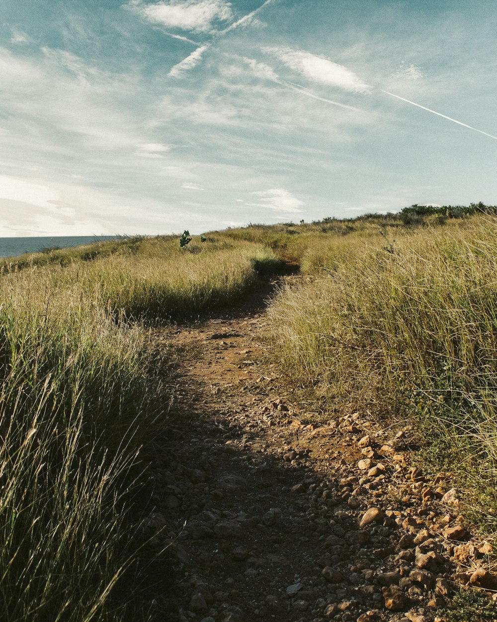 pathway surrounded by grass under blue and white sky during daytime