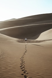 gold-colored desert