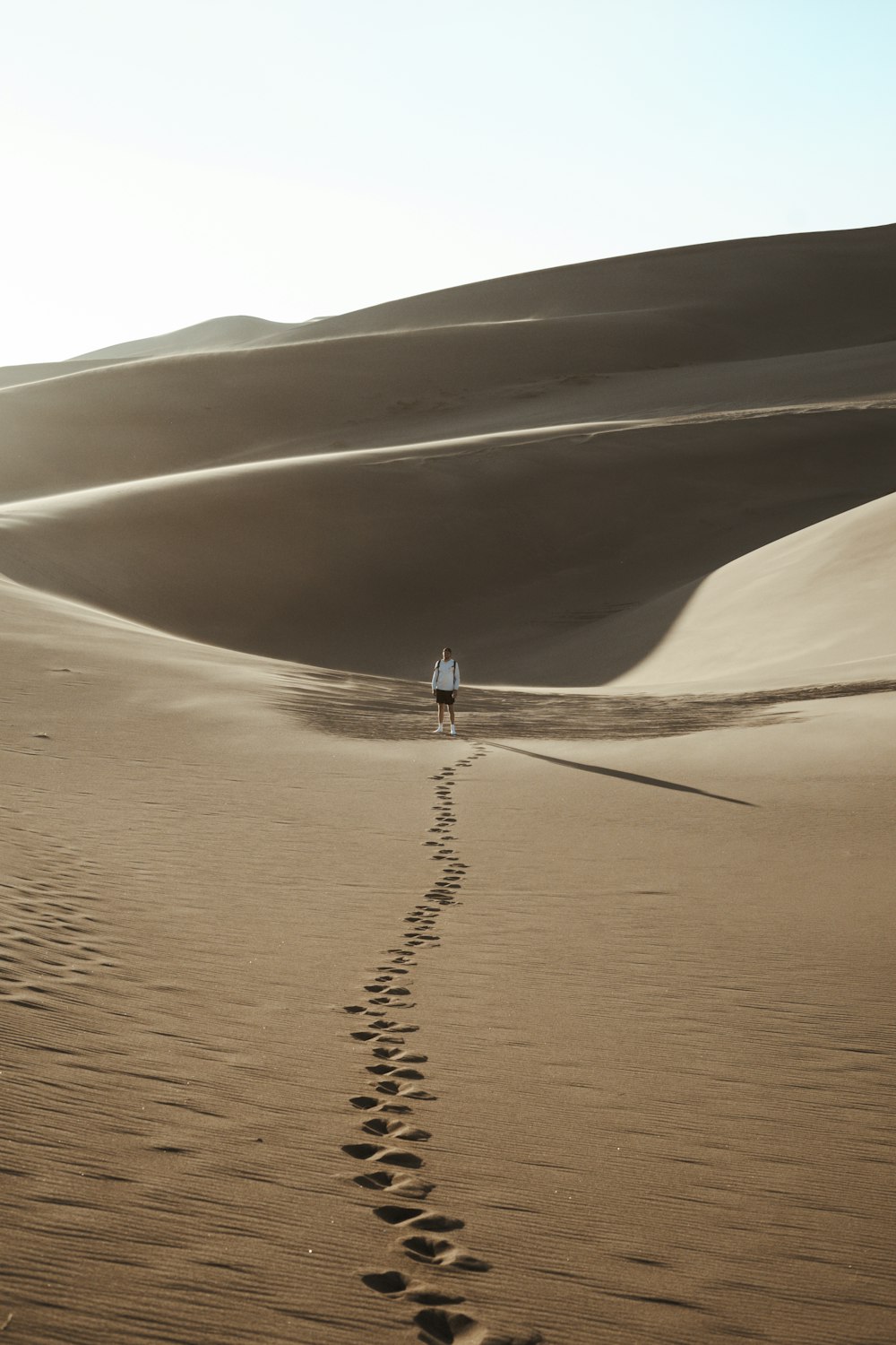 gold-colored desert