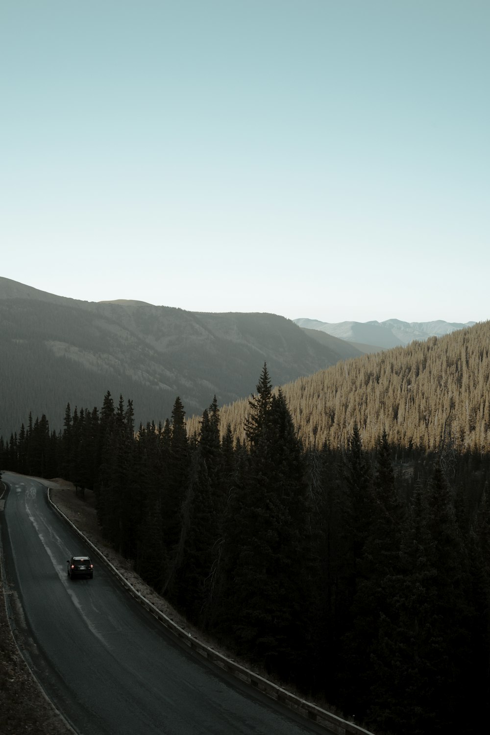 vehicle pass through road surrounded with pine trees