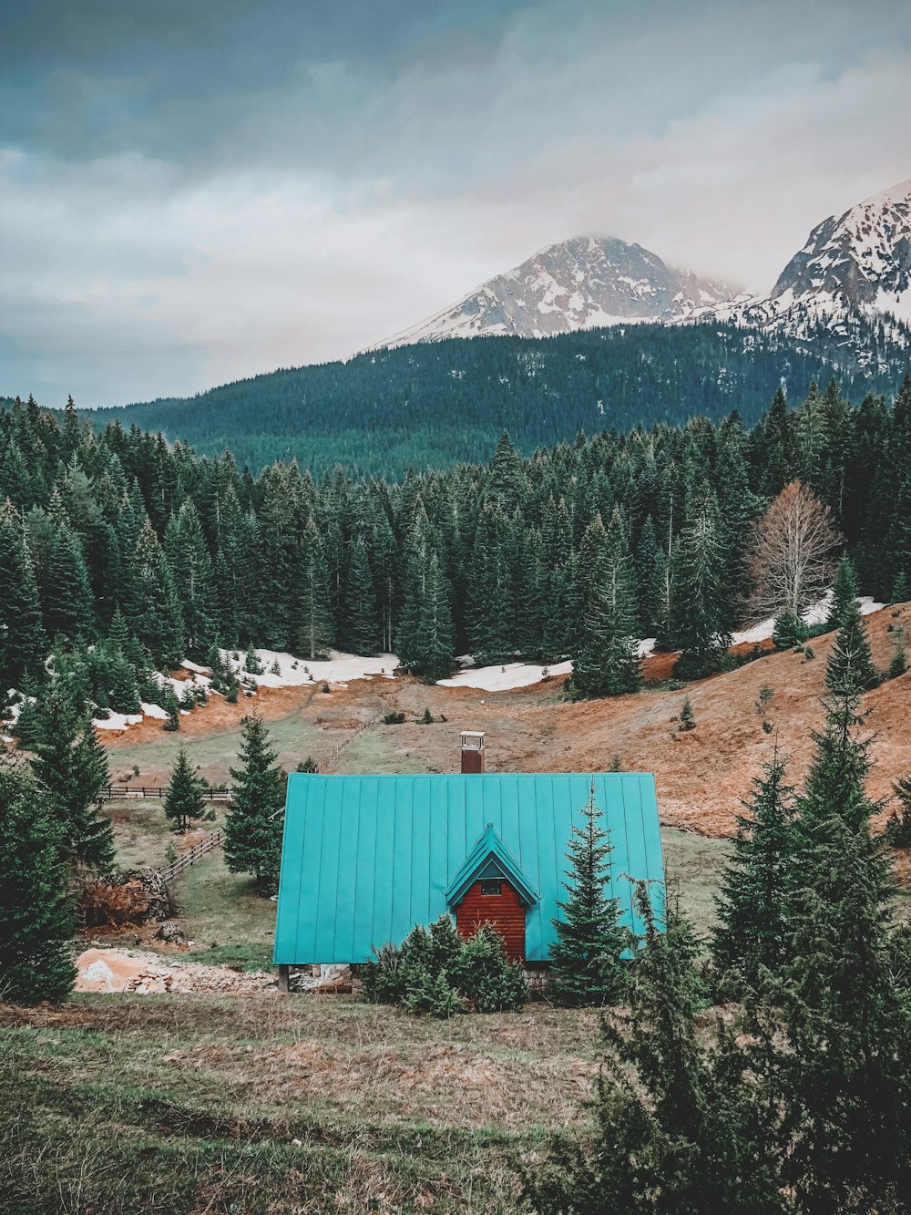 teal roof house surrounded by pine trees