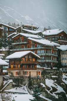 A cluster of wooden chalets with large windows is nestled on a snowy hillside. The buildings are covered with a layer of snow, and the background features a mountainous landscape with overcast skies.