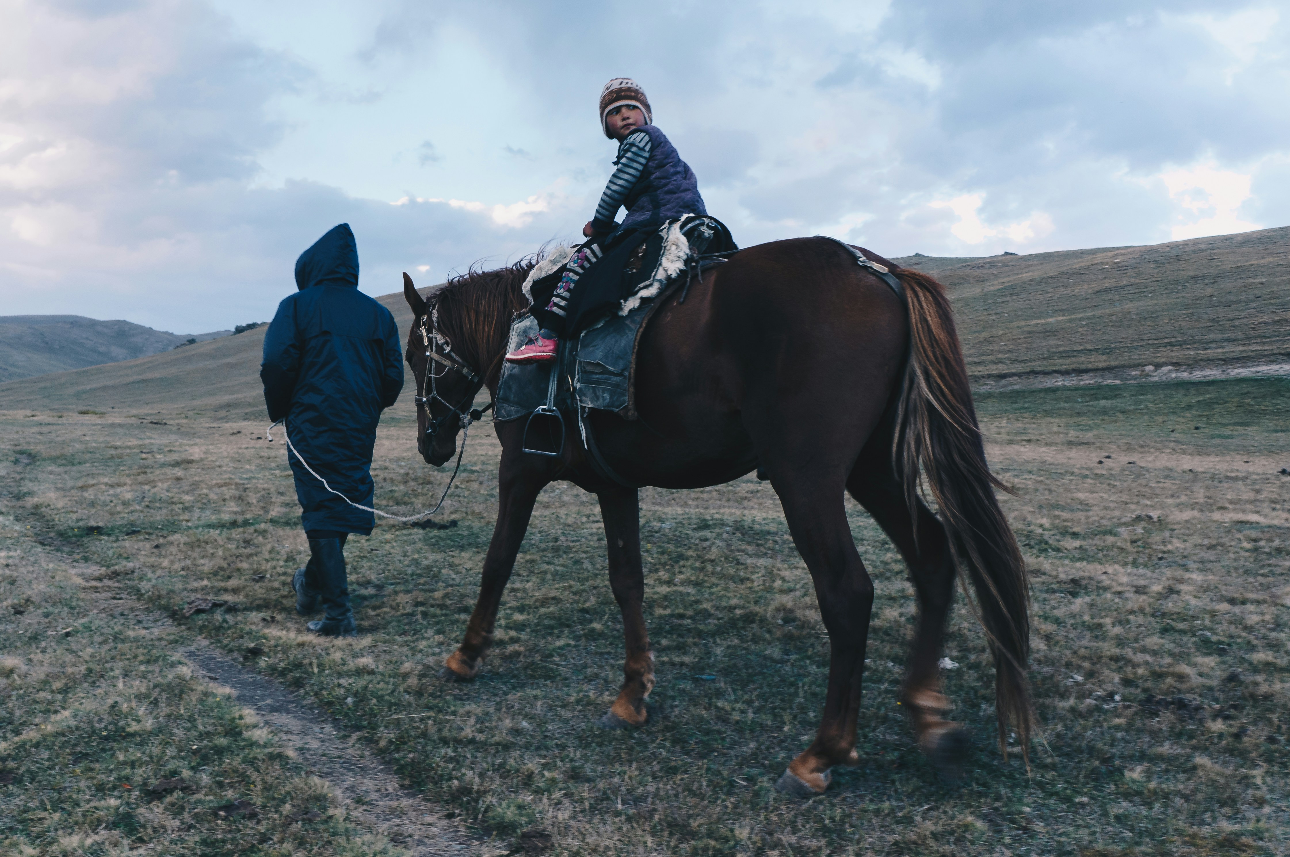 person riding on brown horse