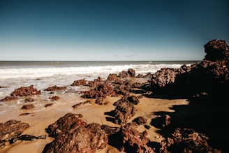 stones on seashore during daytime
