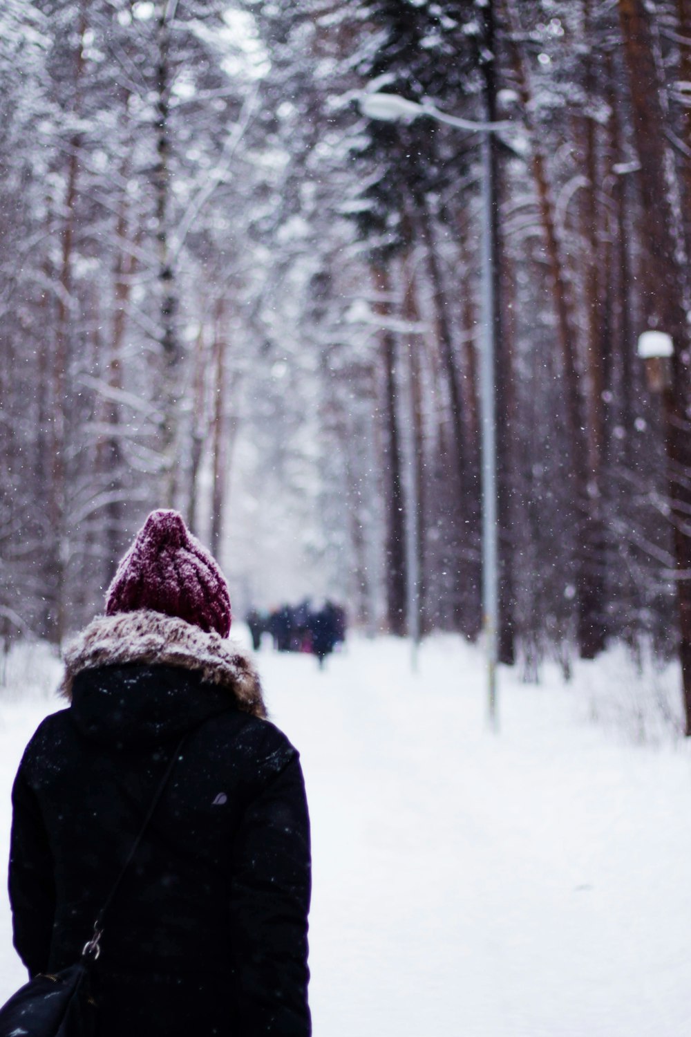 person standing on snow-covered land surrounded by trees