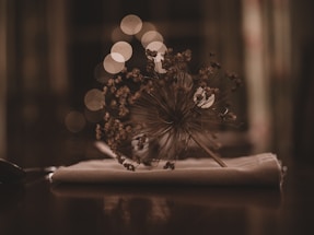 A peaceful flower wreath arrangement on a wooden table with soft natural light.