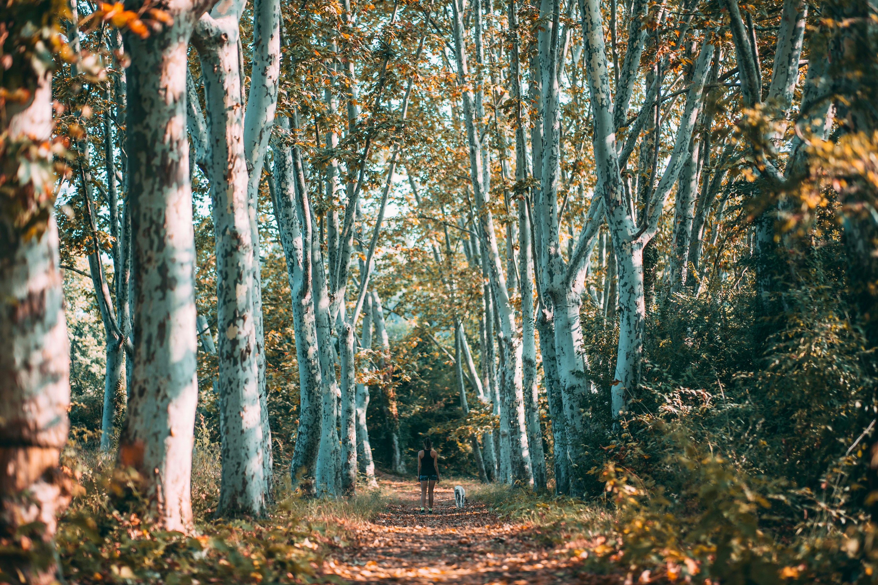 Photo by jannesjacobs