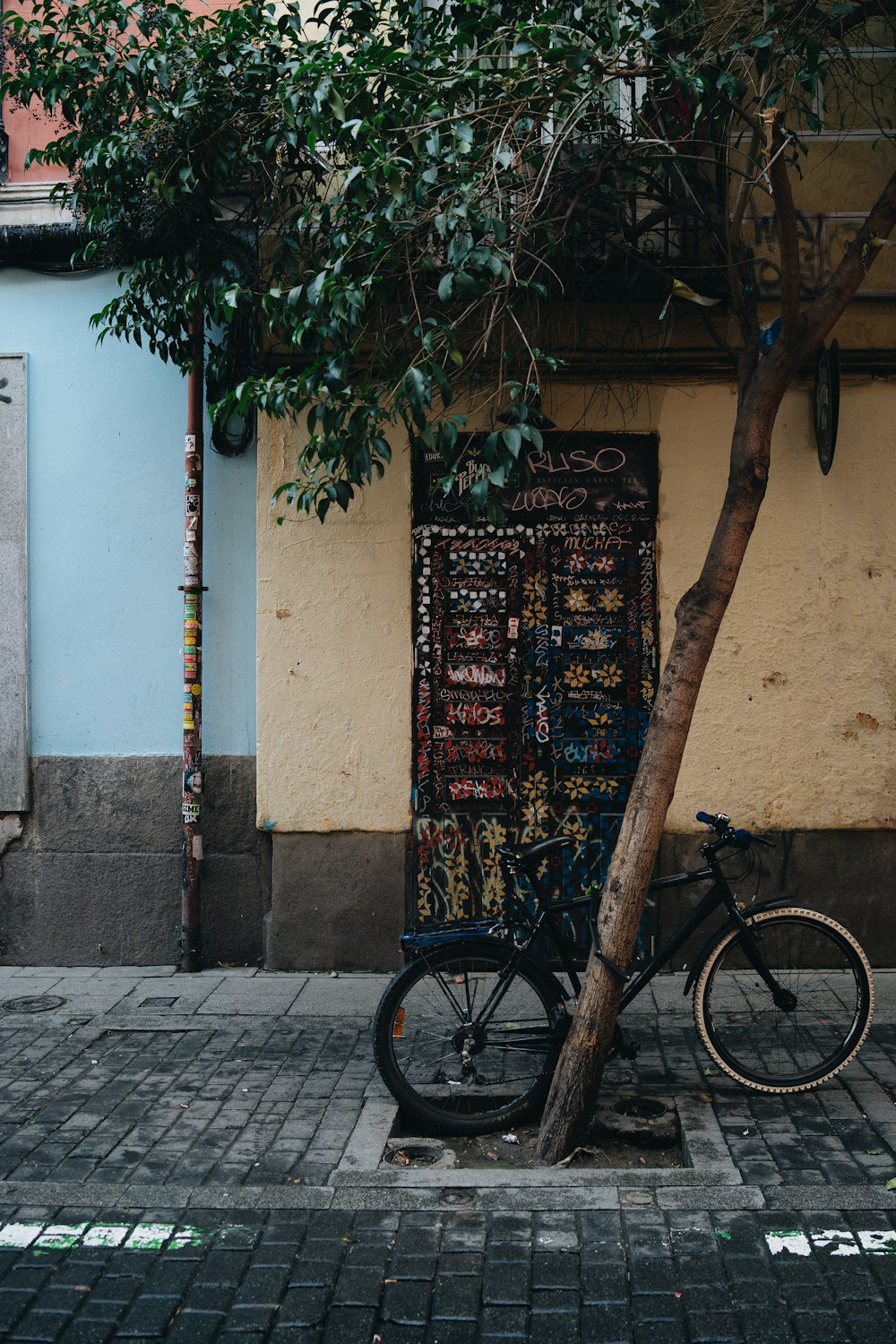 black bicycle beside tree