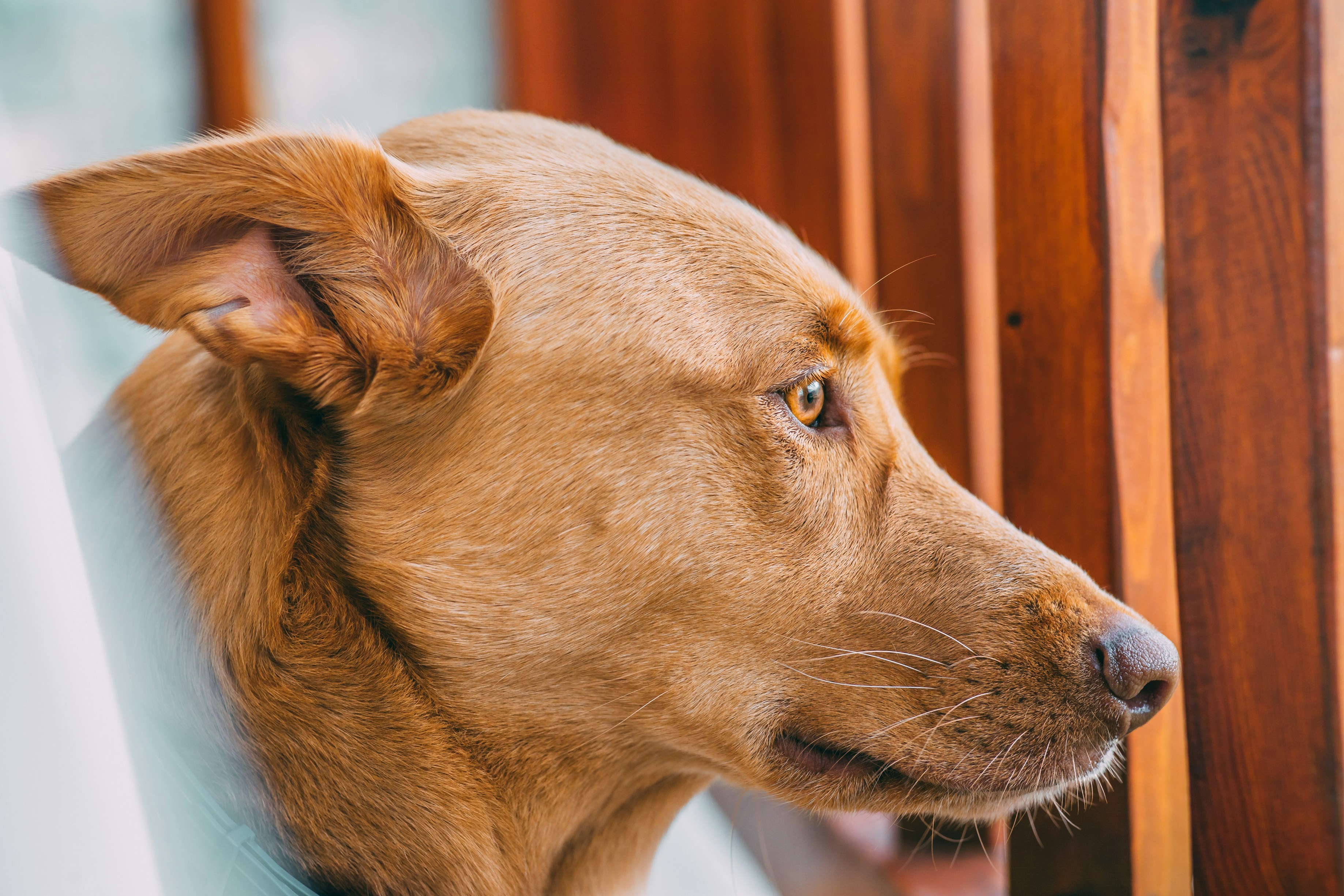 Photo by jannesjacobs