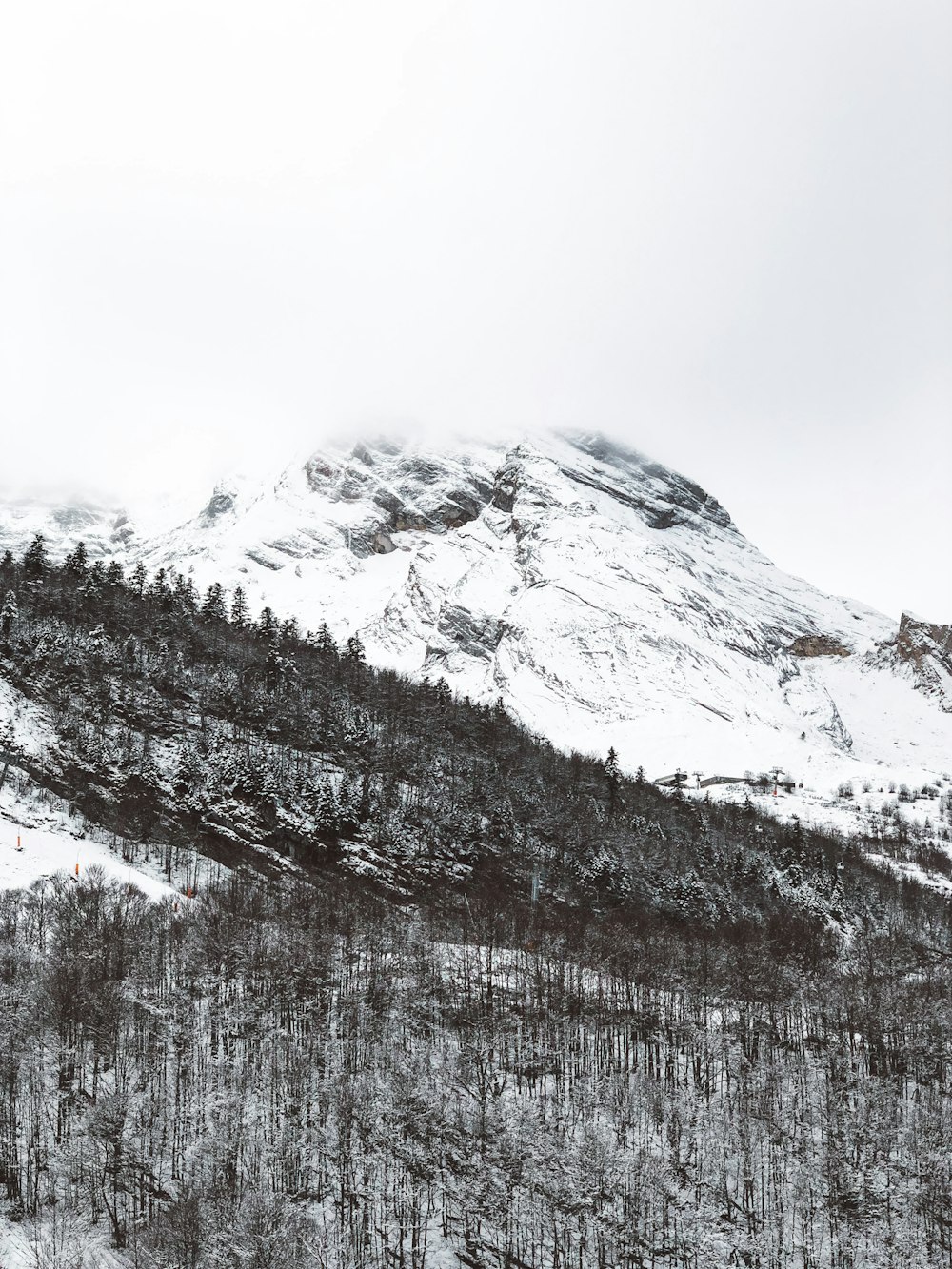 trees near mountain covered by snow