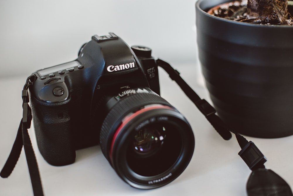 fotocamera reflex Canon nera vicino a un vaso di piante su superficie bianca