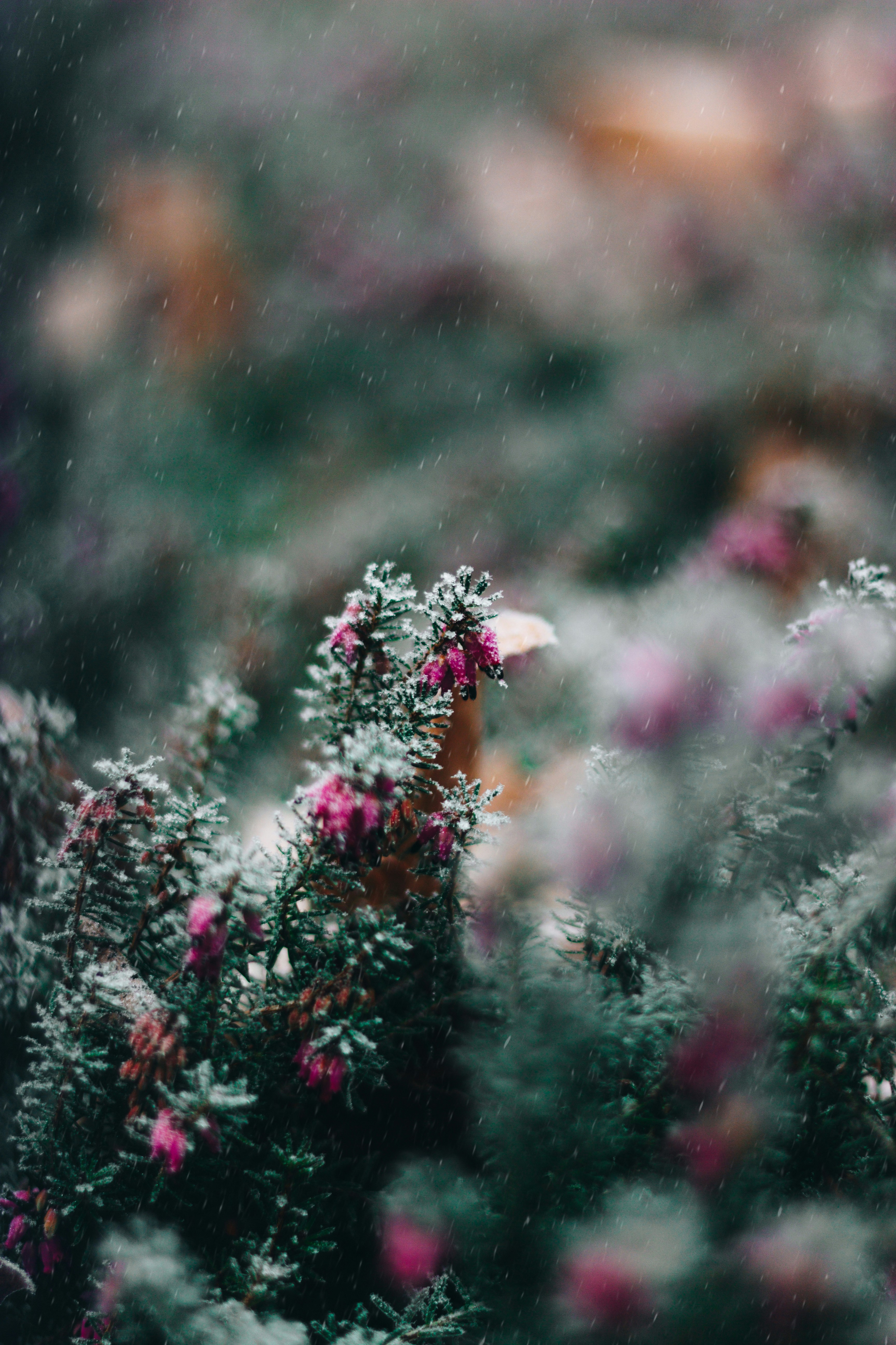 Steemit profile picture for @proposes