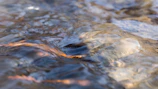 Close-up of water rippling gently over smooth stones, reflecting soft lilac and white hues.