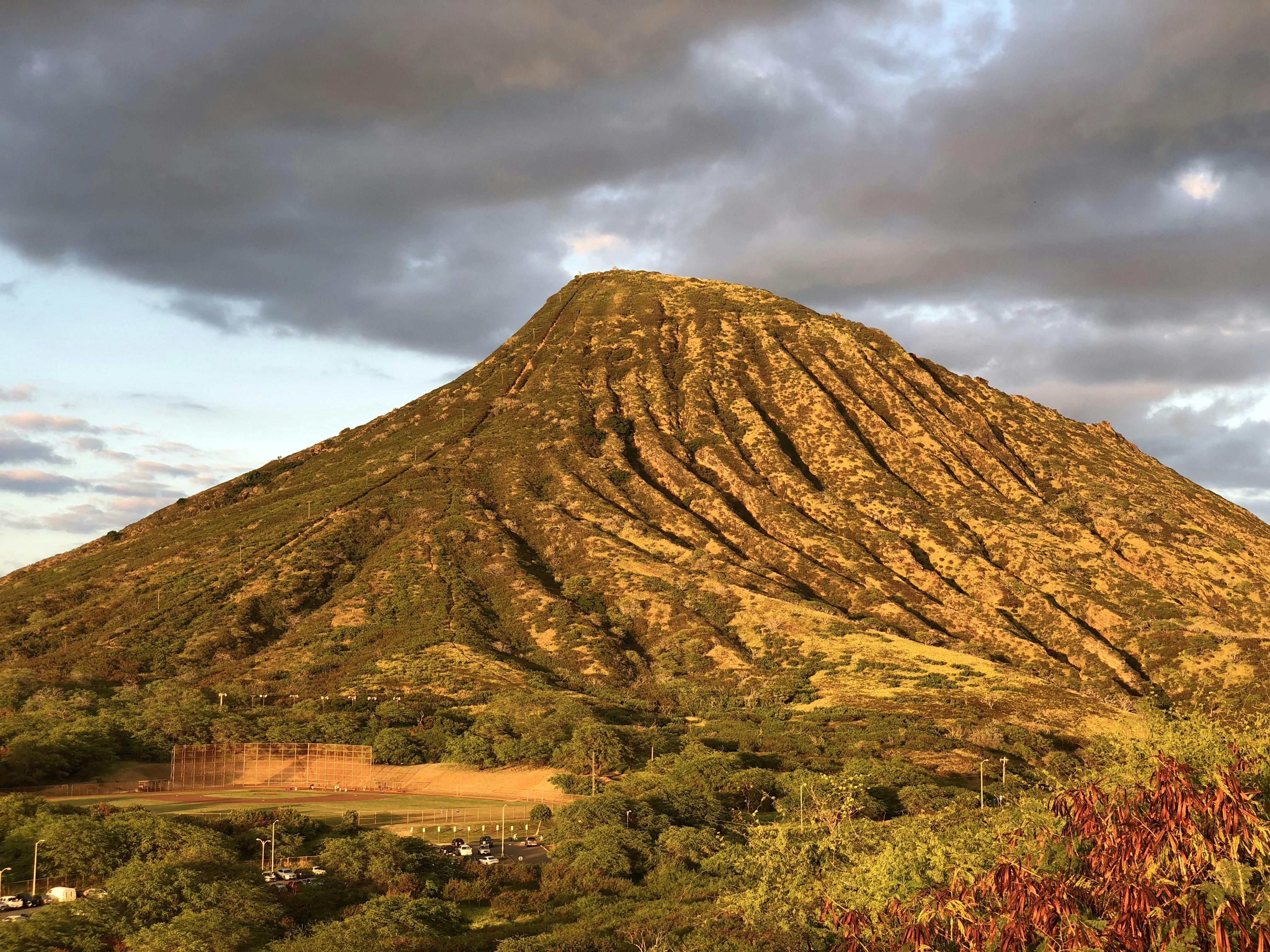Waikiki Brewing Company - Waikiki