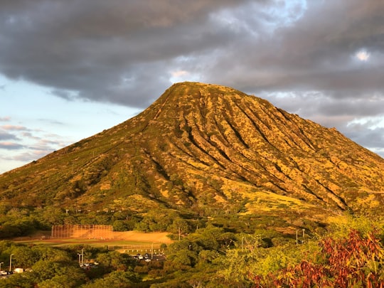 brown mountain under white skies in Koko Crater Botanical Garden United States