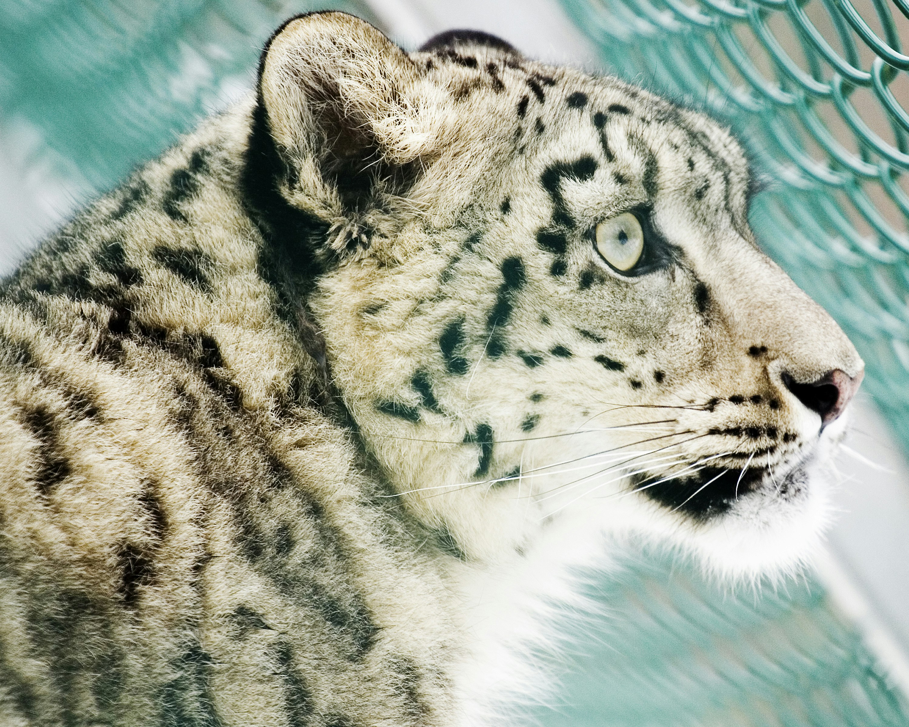 Hearts That Haunt (image credits: unsplash)