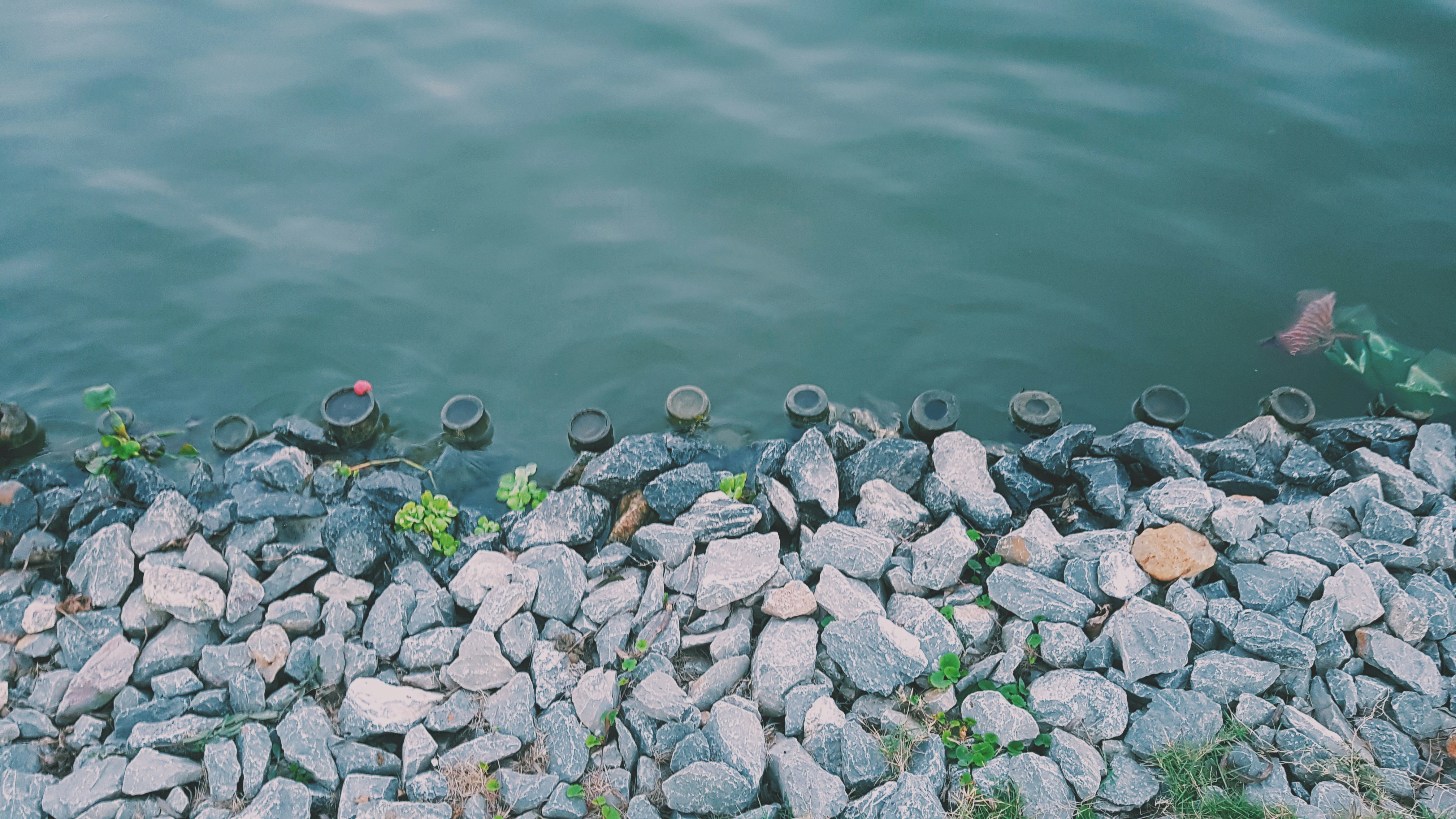 Photo by potatonorim