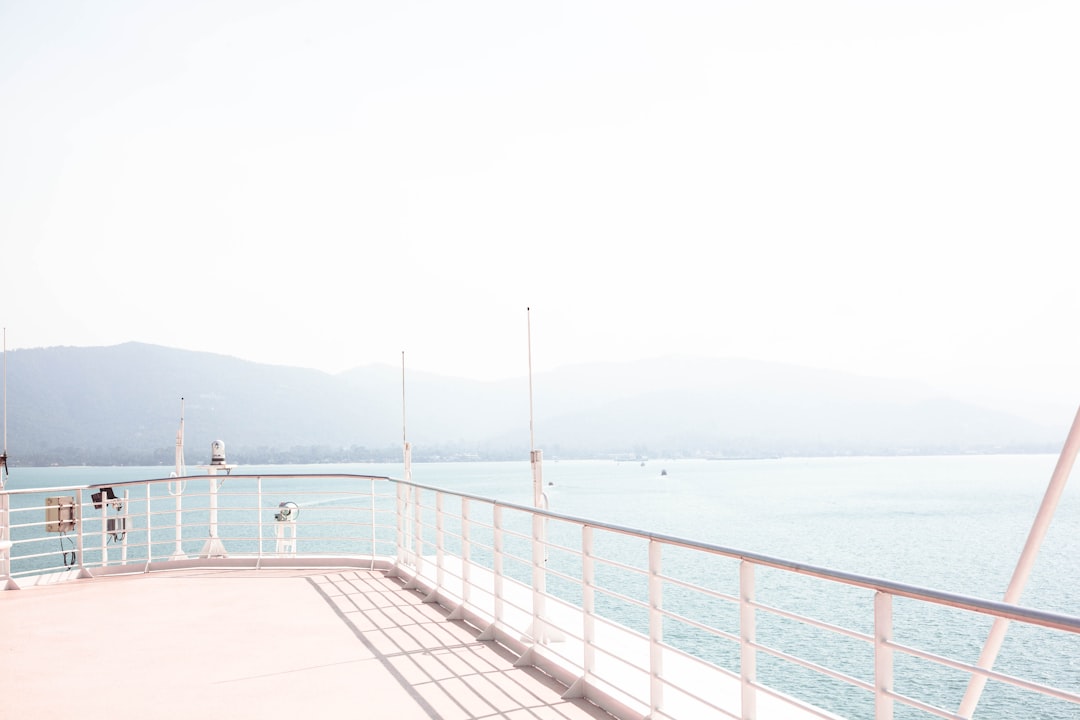 cruise ship on body of water