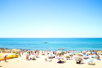 seashore with crowding people under blue sky