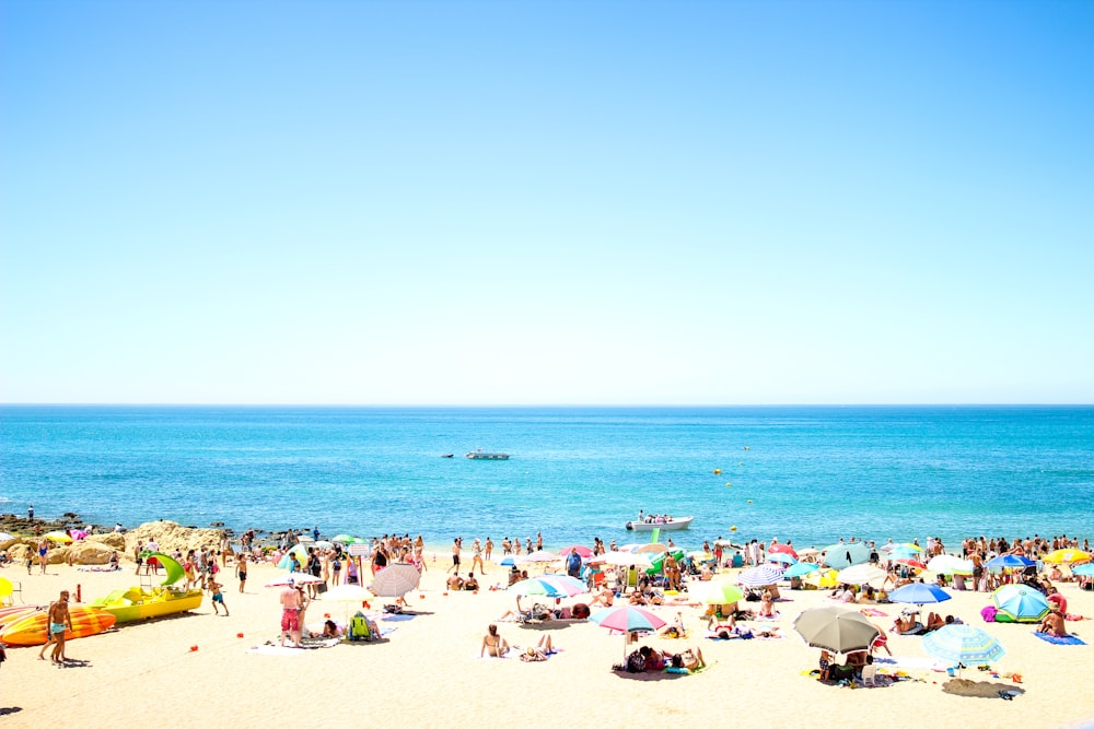 seashore with crowding people under blue sky