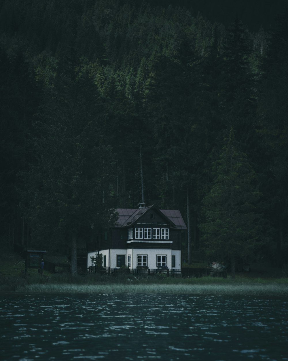 white and black house near body of water