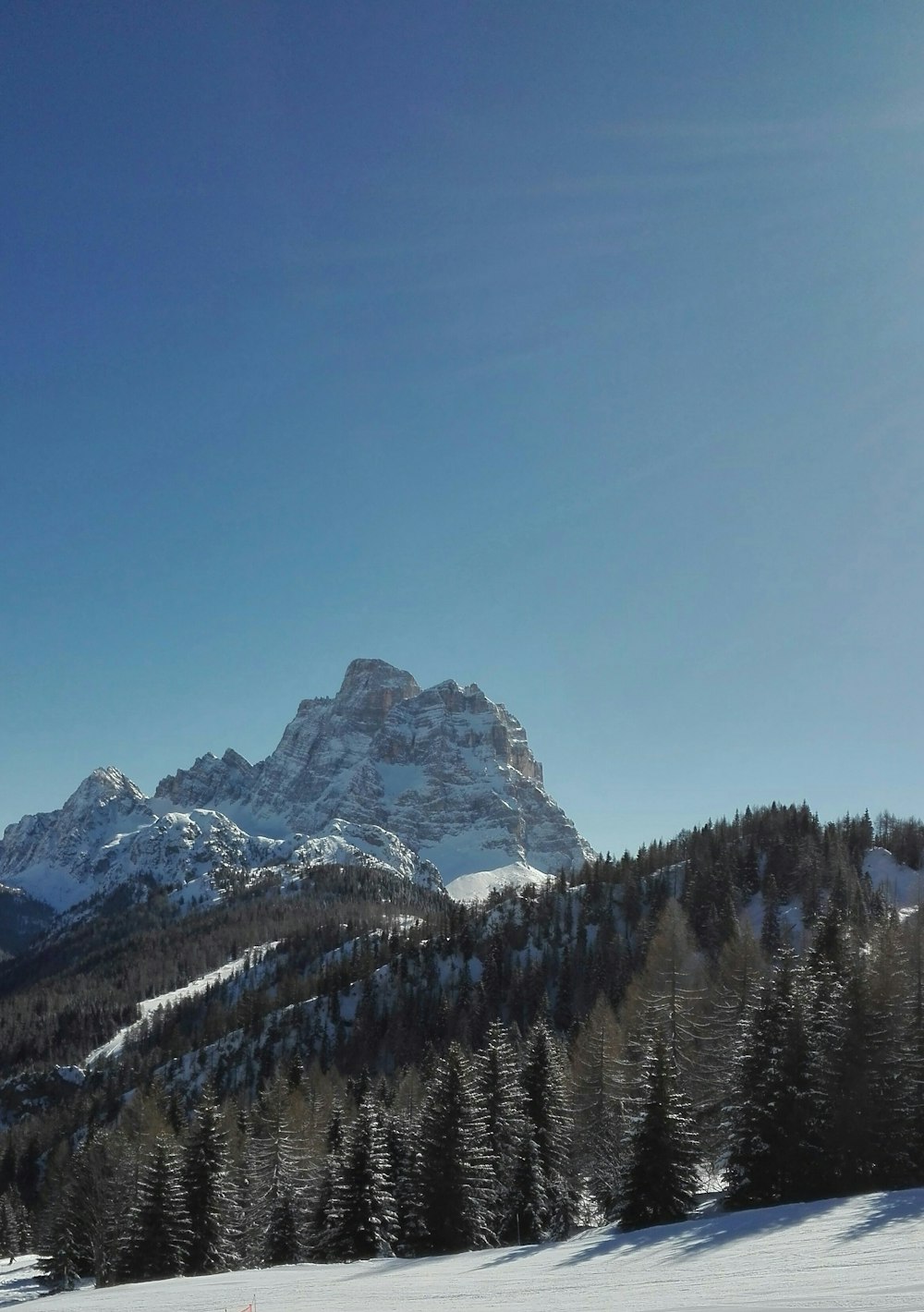 snow covered mountain near trees during clear blue sky