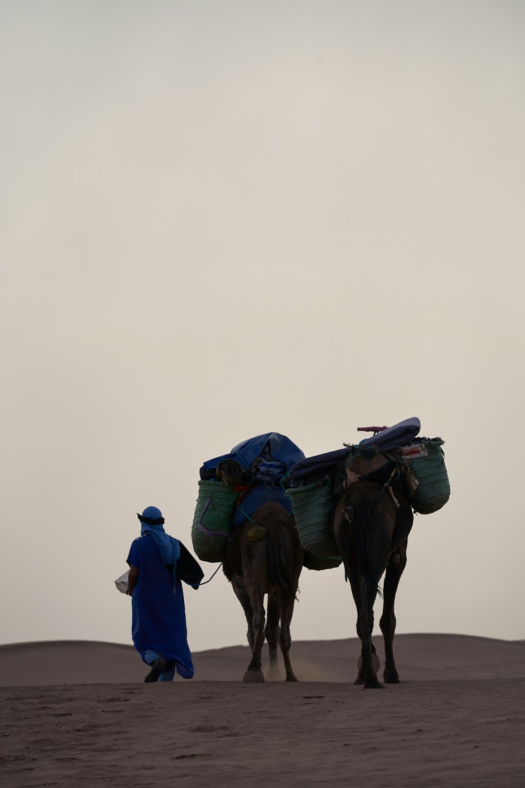 person walking beside camel