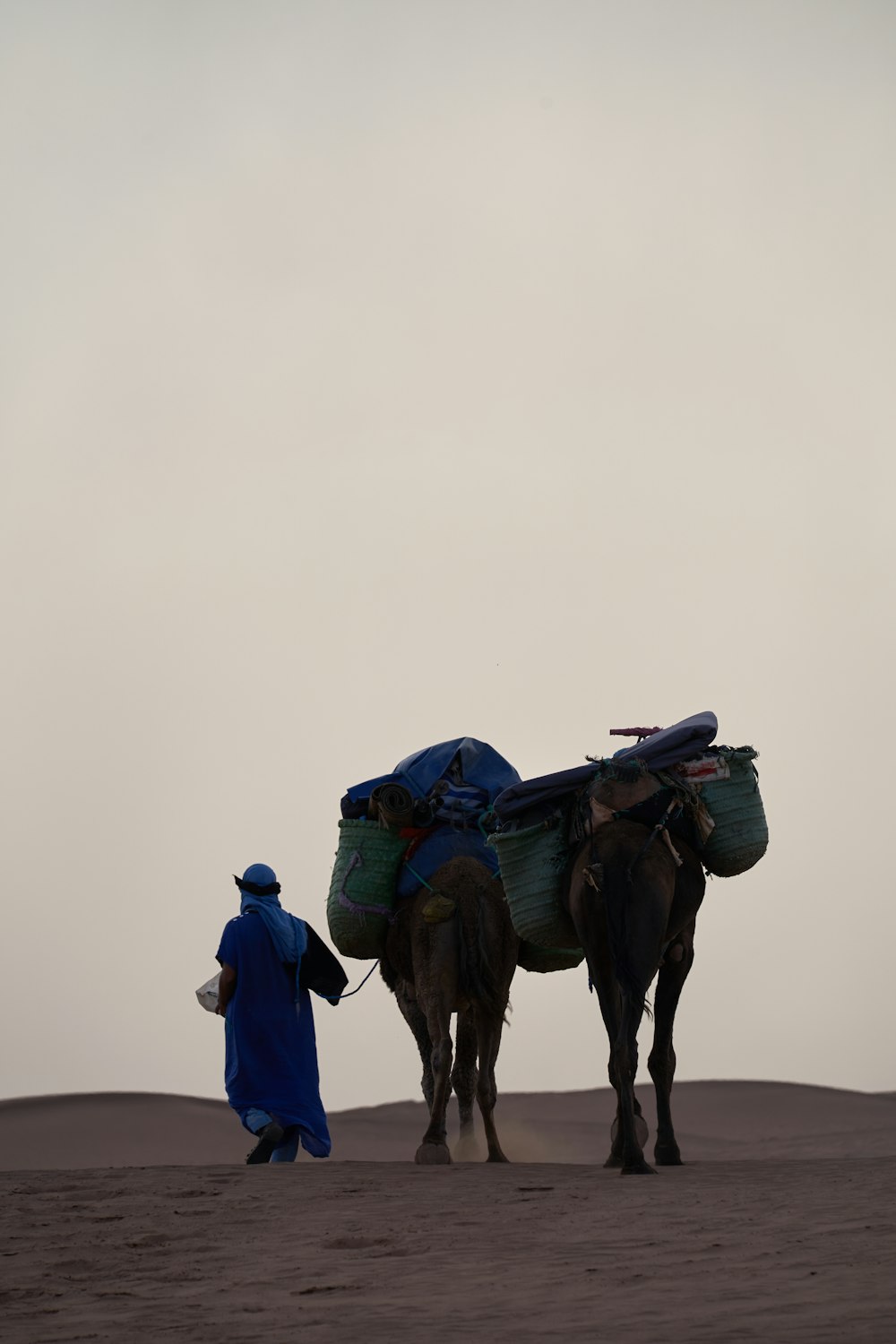 personne marchant à côté d’un chameau