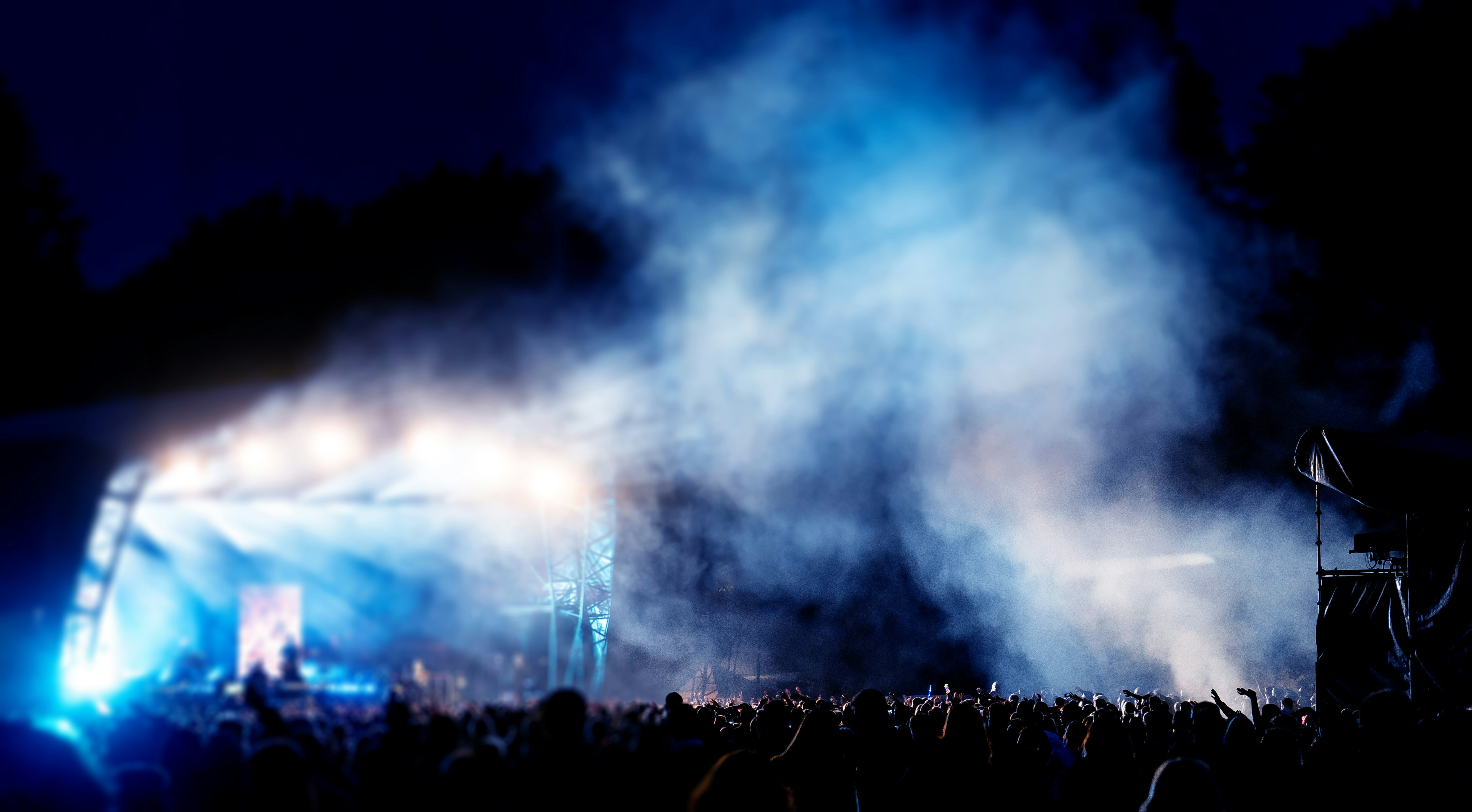 people on concert field