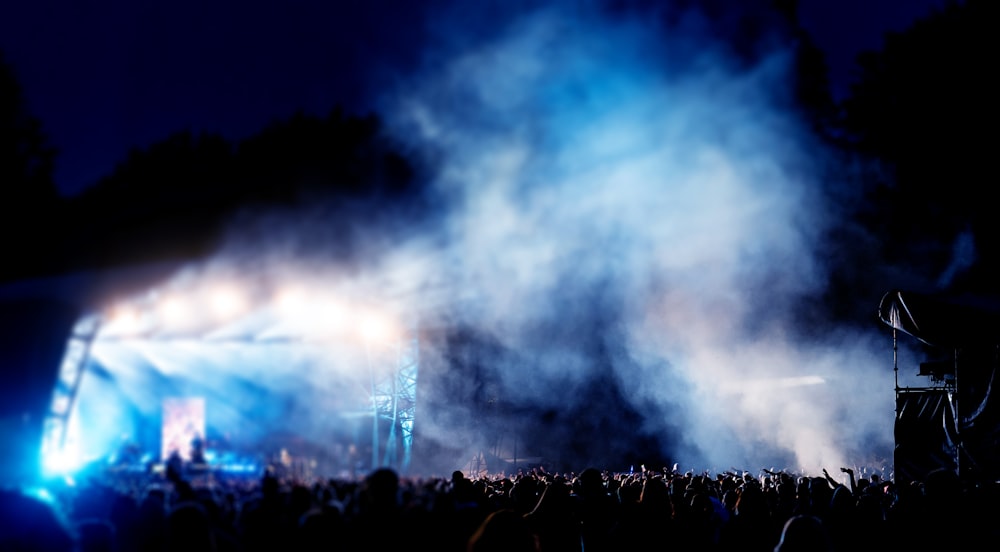 people on concert field