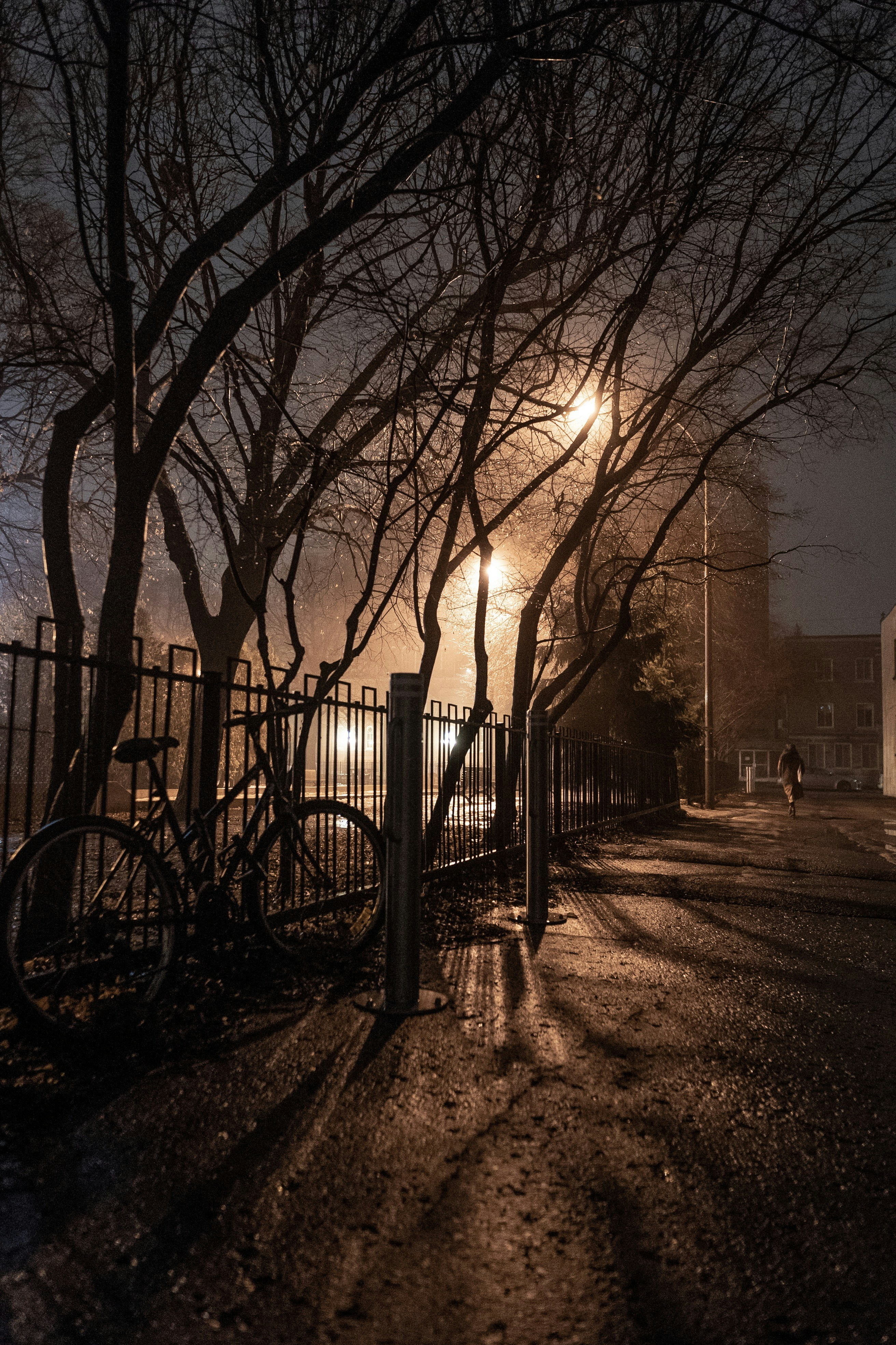 Photo by stevenwright