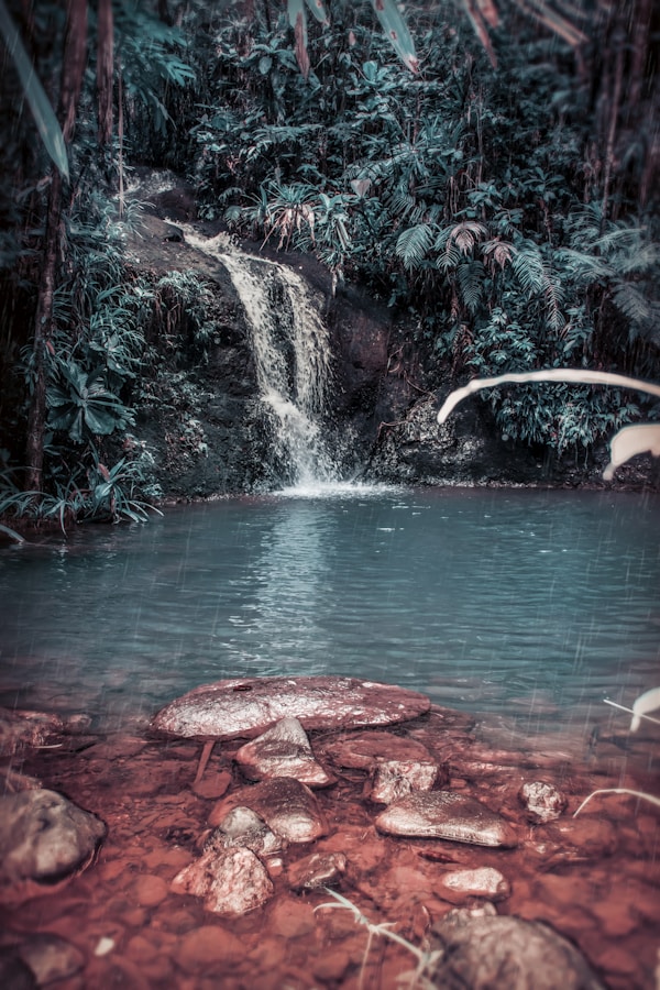 waterfall surround by trees